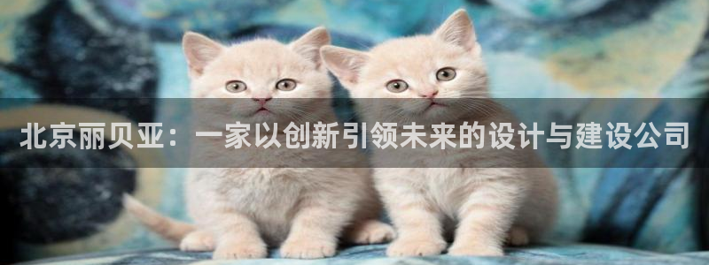 新航娱乐传媒招聘信息网