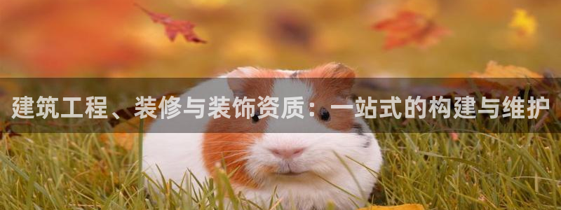 新航娱乐近期演出活动
