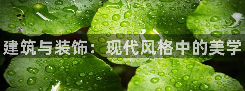 新航娱乐登陆