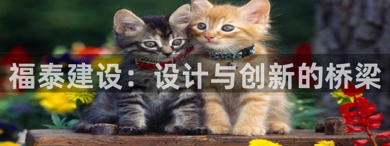 新航娱乐集团最新消息