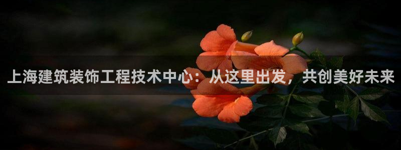 新航娱乐传媒