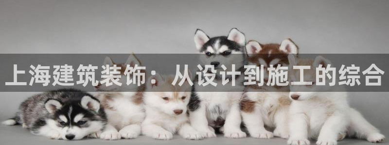 新航娱乐公司