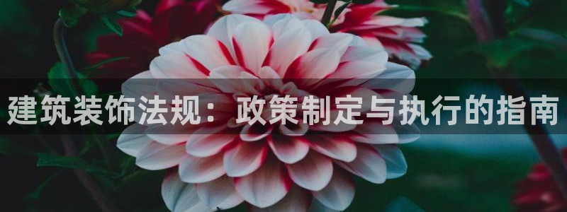新航娱乐公司招聘信息