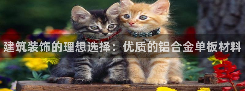 中国新航娱乐平台官网