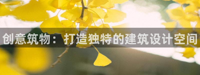 岛城娱乐新航向