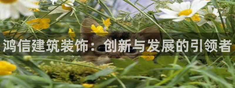新航娱乐集团最新消息