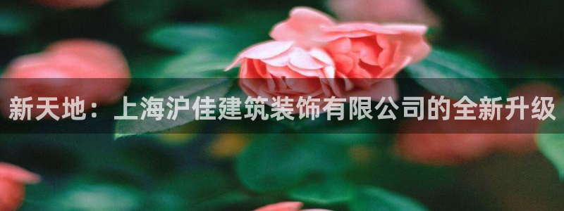 打造娱乐新航母