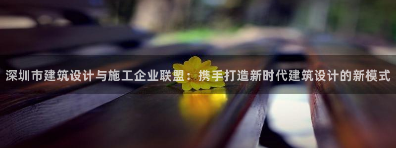新航娱乐公司艺人