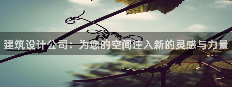 娱乐新航线