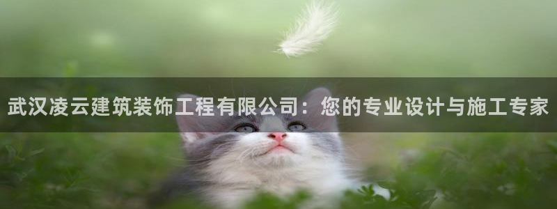 辽宁新航文化娱乐传媒