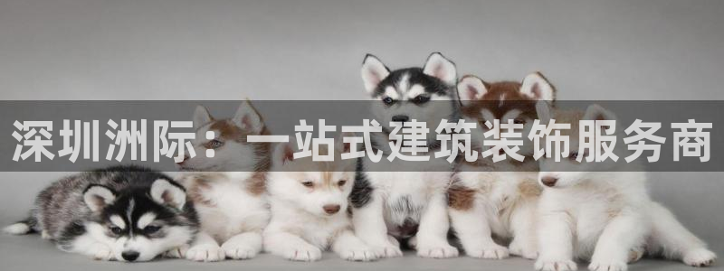 新航娱乐有限公司地址