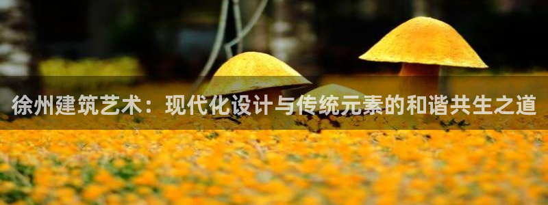 新航娱乐有限公司怎么样