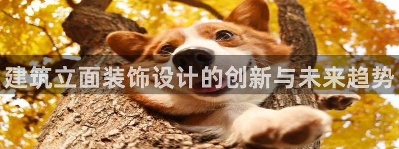 金城娱乐新航母