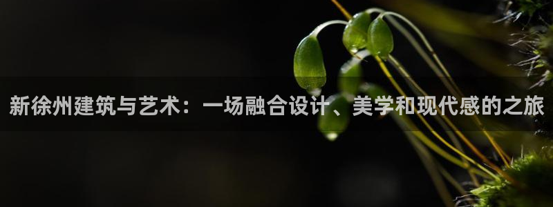 娱乐新航线