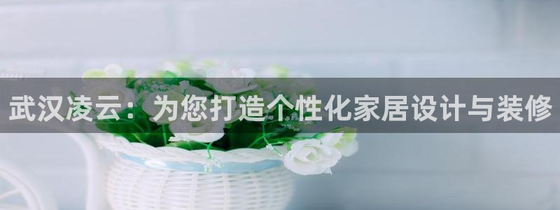 新航娱乐传媒怎么样知乎