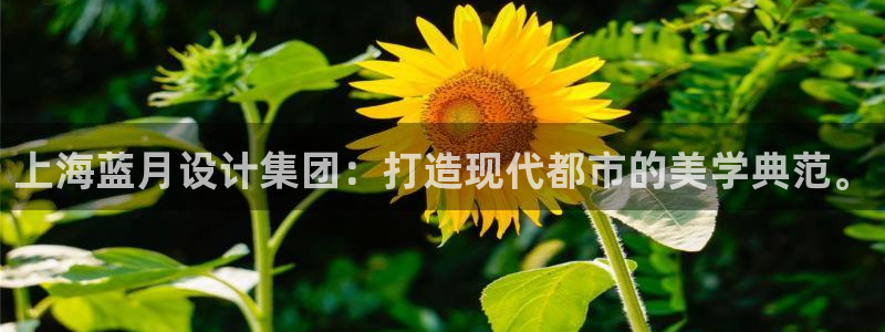 新航娱乐管理有限公司