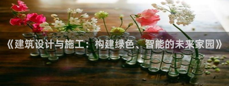 新航机上娱乐