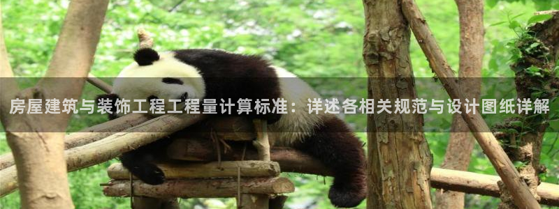 新航娱乐公司艺人