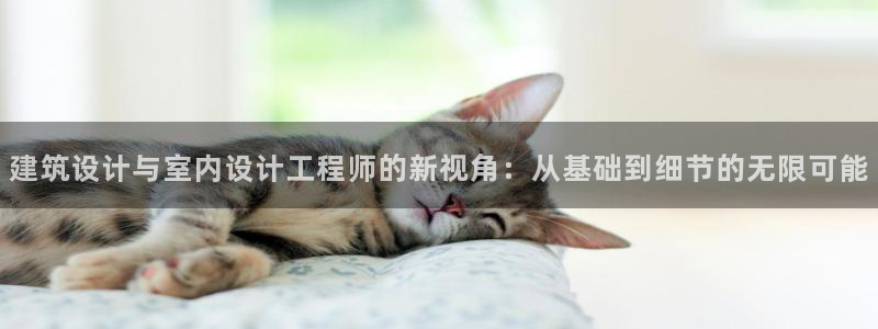 新航娱乐合法吗