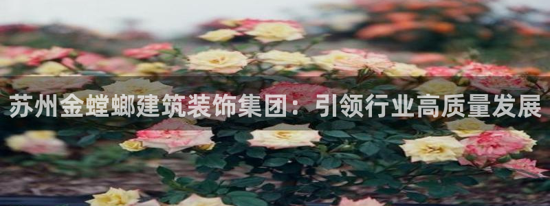 新航娱乐怎么样知乎