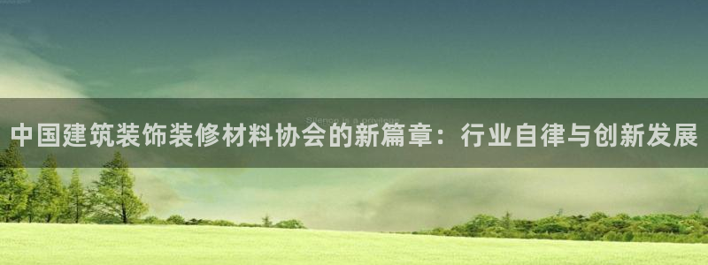 新航机上娱乐