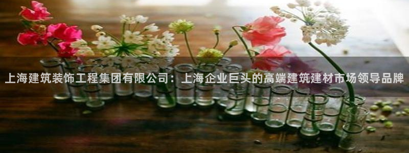 新航娱乐传媒招聘信息