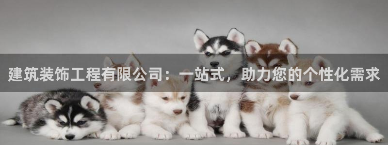 新航娱乐管理有限公司