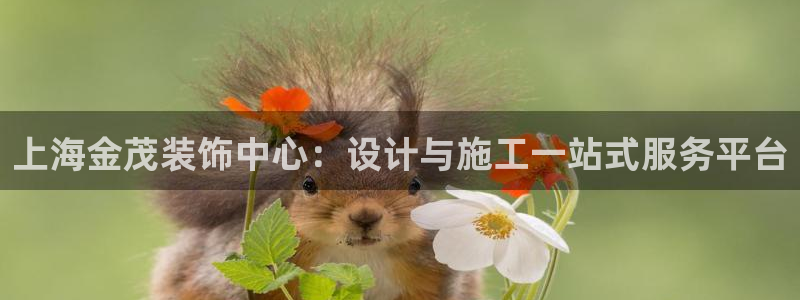 新航娱乐的最新动态报道