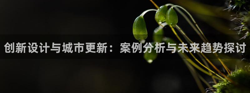 新航娱乐招商Q