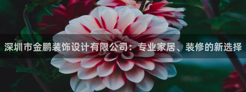 新航娱乐平台
