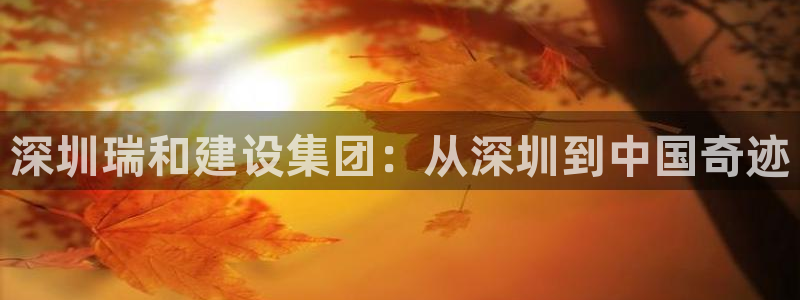 南京新航娱乐