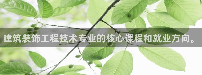 新航娱乐被国家认可吗