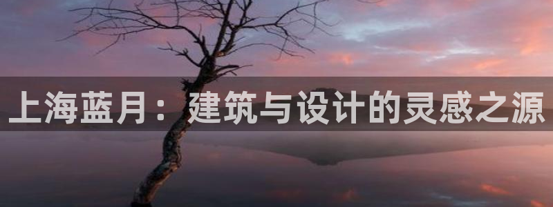 新航娱乐公司地址电话