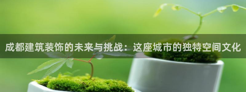 新航飞机椅背娱乐设备