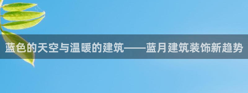 新航娱乐传媒招聘信息