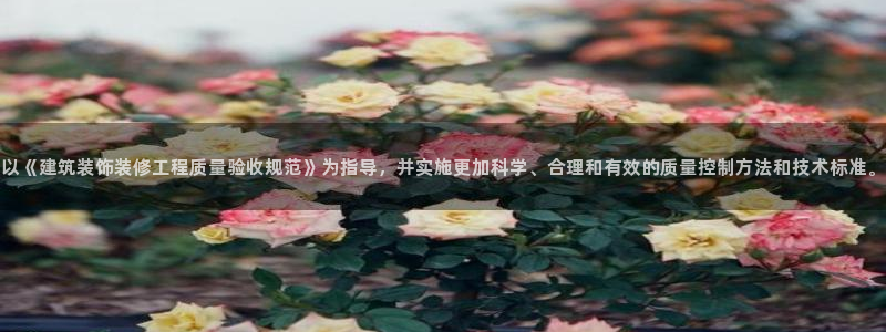 新航娱乐公司简介