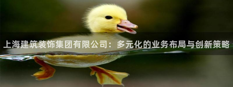 新航娱乐直开怎么下载
