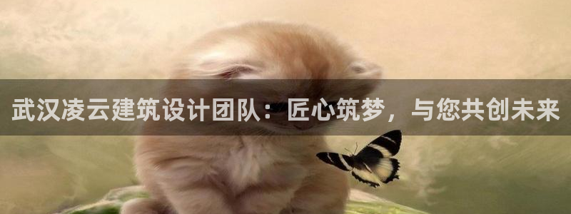 新航娱乐怎么开户