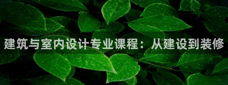 云顶新航国际娱乐城
