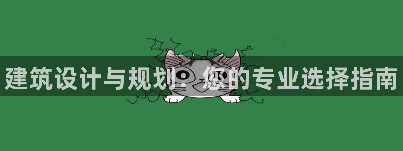 新航文化娱乐传媒