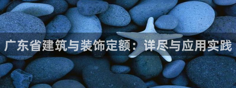 新航娱乐传媒