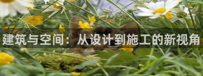 岛城娱乐新航向