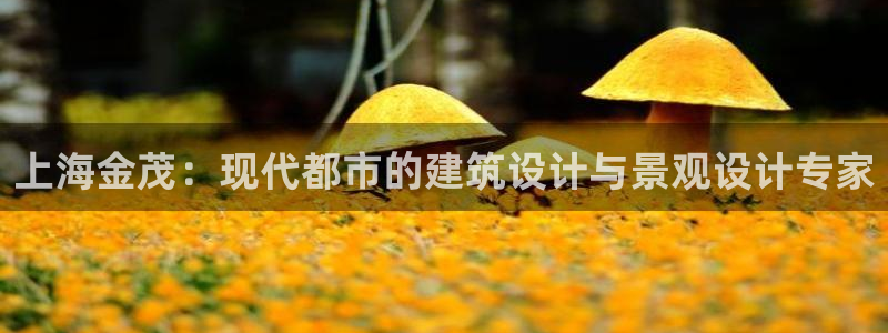 新航线娱乐