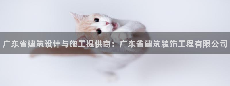 新航娱乐近期演出活动