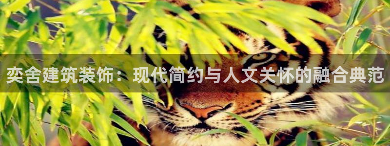 新航文化娱乐传媒怎么样