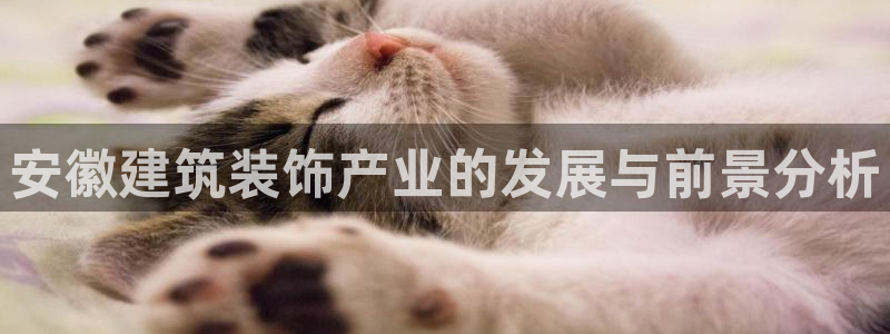 新航娱乐登陆