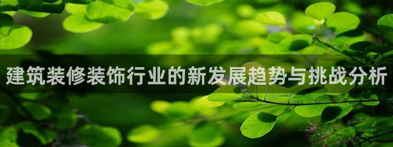 新航娱乐主管