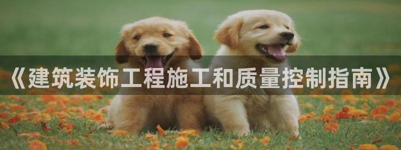 阜新航空娱乐