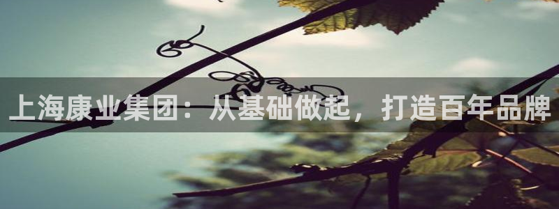 新航娱乐最新产品发布