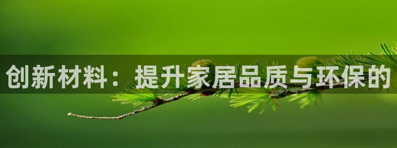 新航娱乐管理有限公司